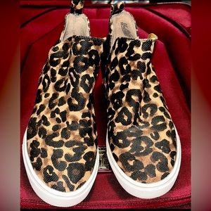 Animal Print Steve Madden Shoes